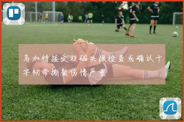 乌加特接受核磁共振检查或确认十字韧带撕裂伤情严重
